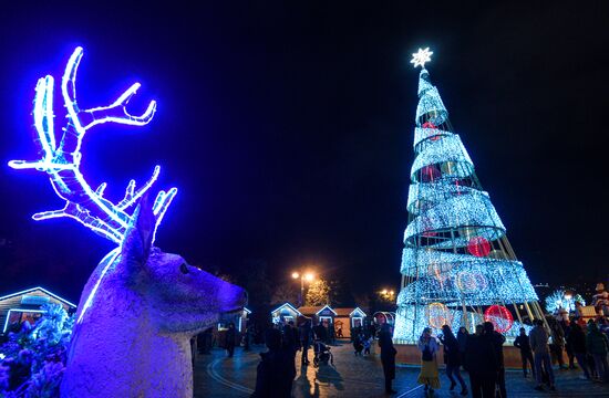 Azerbaijan New Year Preparation