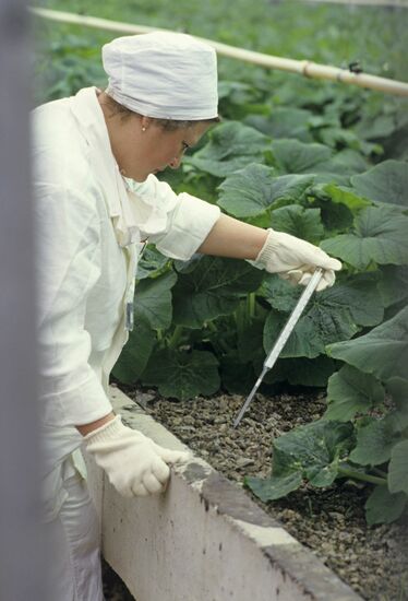 Agriculture in Pripyat