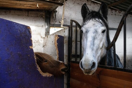 Russia Ukraine Military Operation Equestrian Club