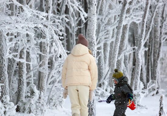 Russia New Year Season