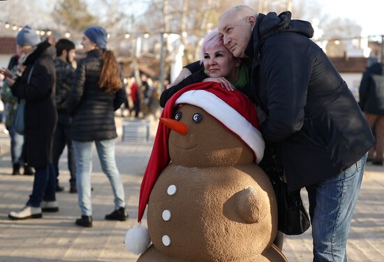 Russia New Year Season