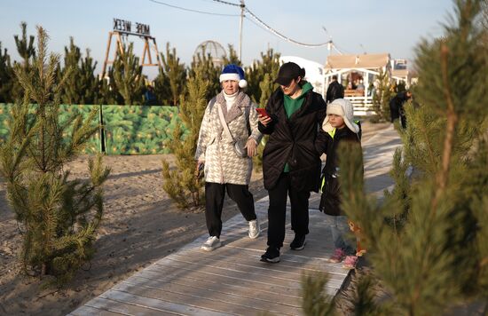 Russia New Year Season
