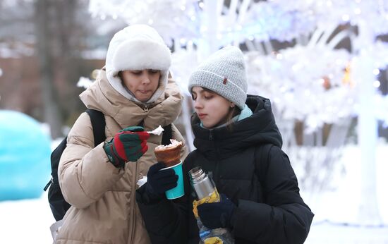 Russia New Year Season