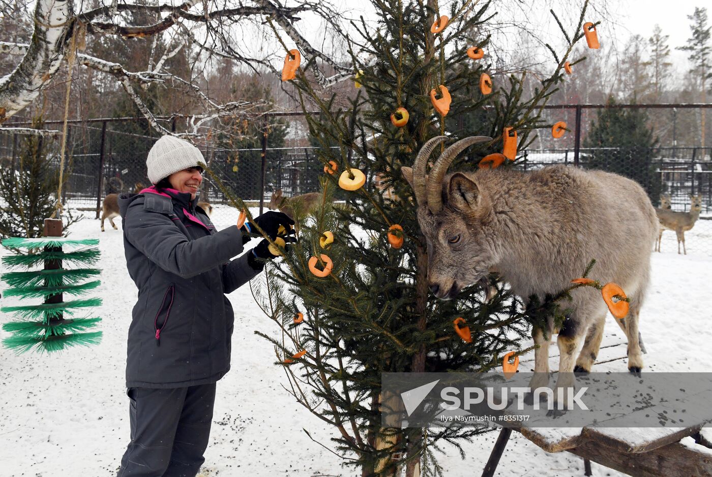 Russia New Year Season Zoo