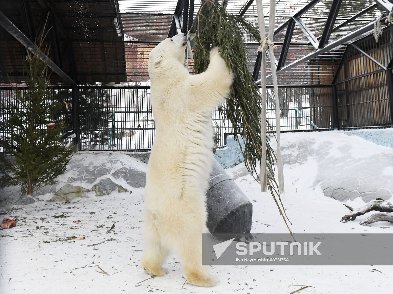 Russia New Year Season Zoo