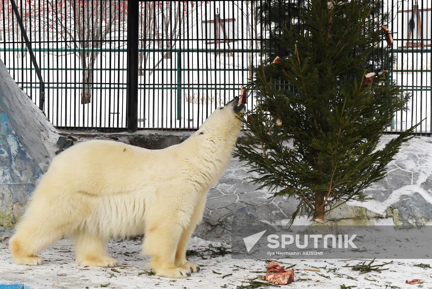 Russia New Year Season Zoo