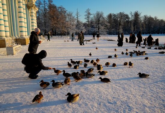 Russia New Year Season