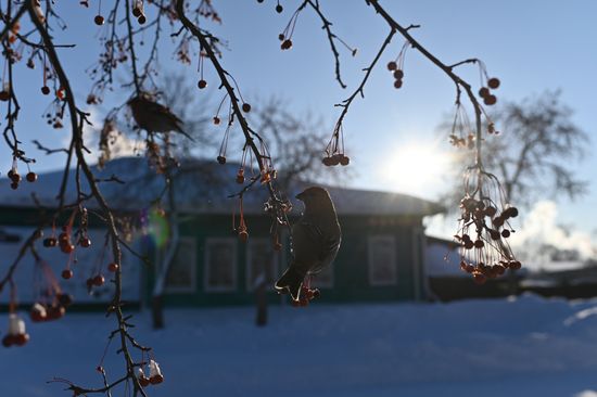 Russia Weather