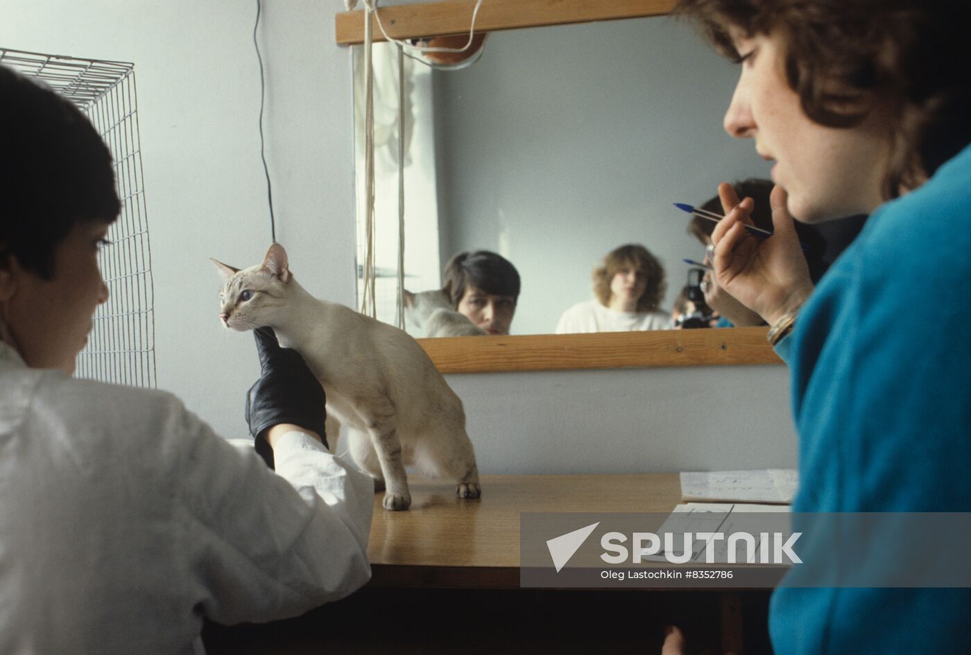 Zoo Sphere cat exhibition