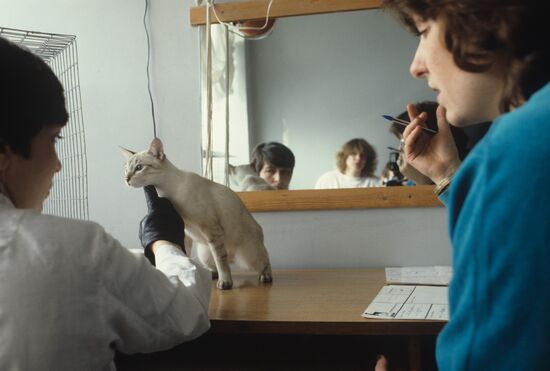 Zoo Sphere cat exhibition