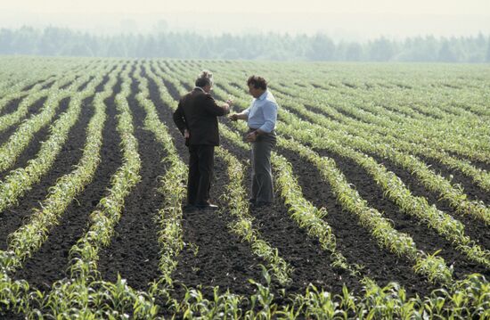 Frunze Collective Farm