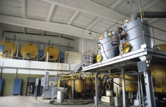 Frunze Collective Farm