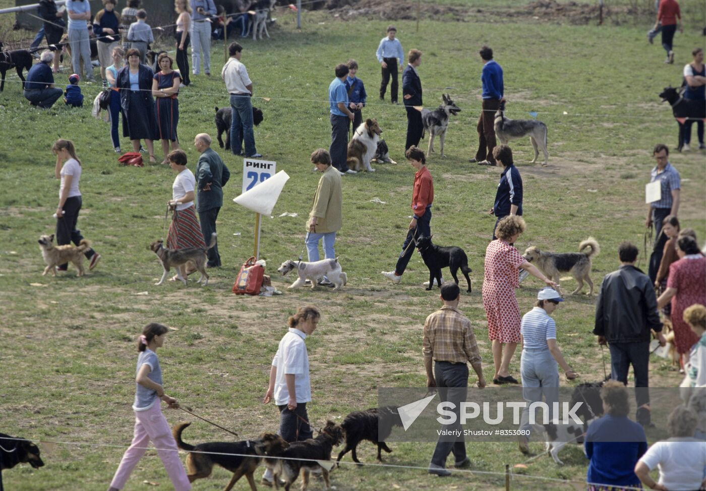 First exhibition and festival of FAUNA animal club