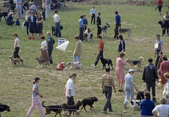 First exhibition and festival of FAUNA animal club