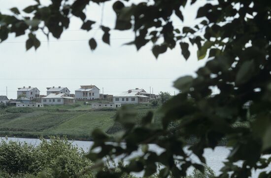 Frunze Collective Farm