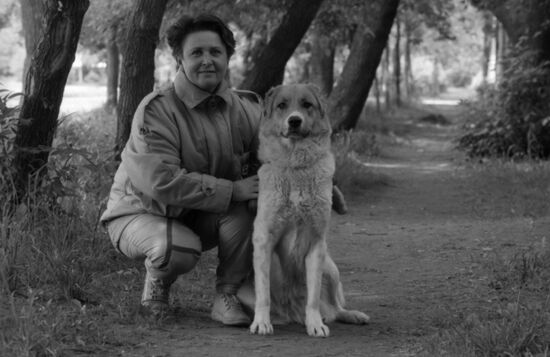 Alabai, or Central Asian Shepherd Dog