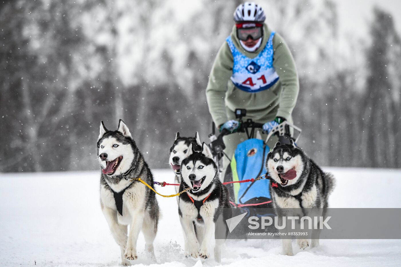 Russia Sled Dog Race