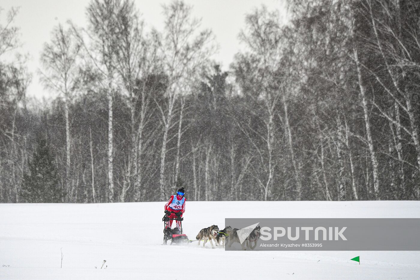 Russia Sled Dog Race