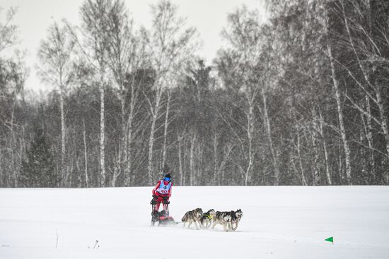 Russia Sled Dog Race