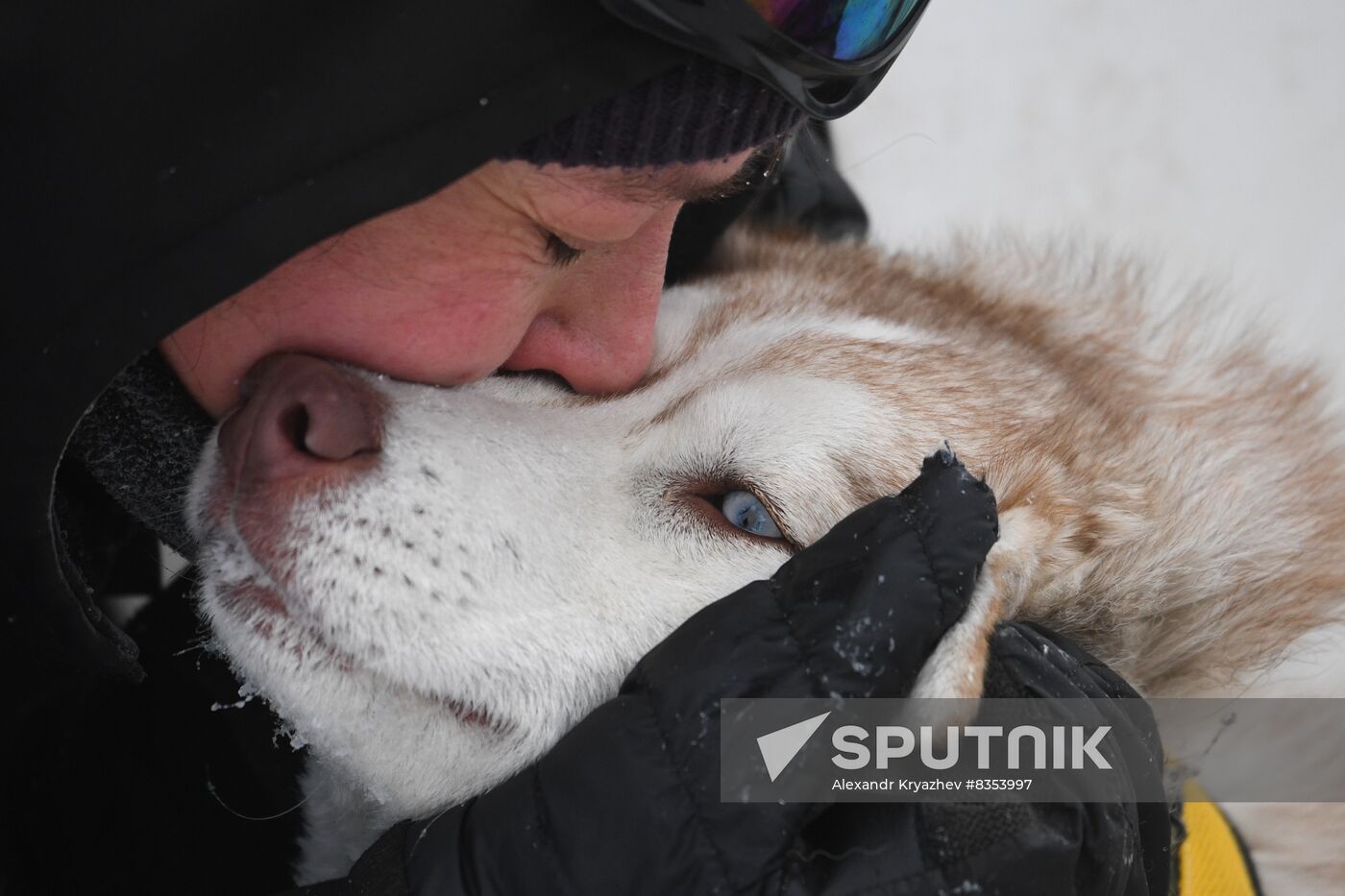 Russia Sled Dog Race