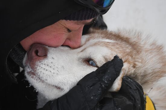 Russia Sled Dog Race