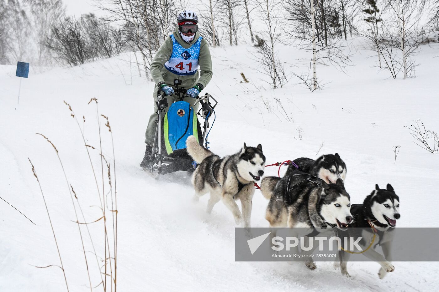 Russia Sled Dog Race