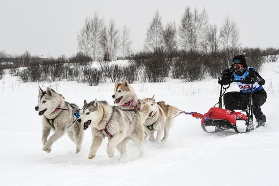 Russia Sled Dog Race