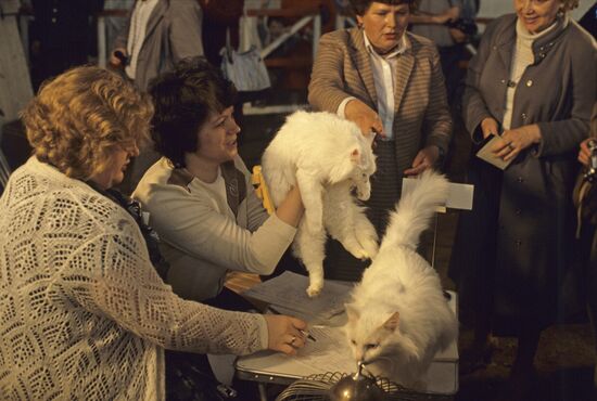 First exhibition and festival of FAUNA animal club