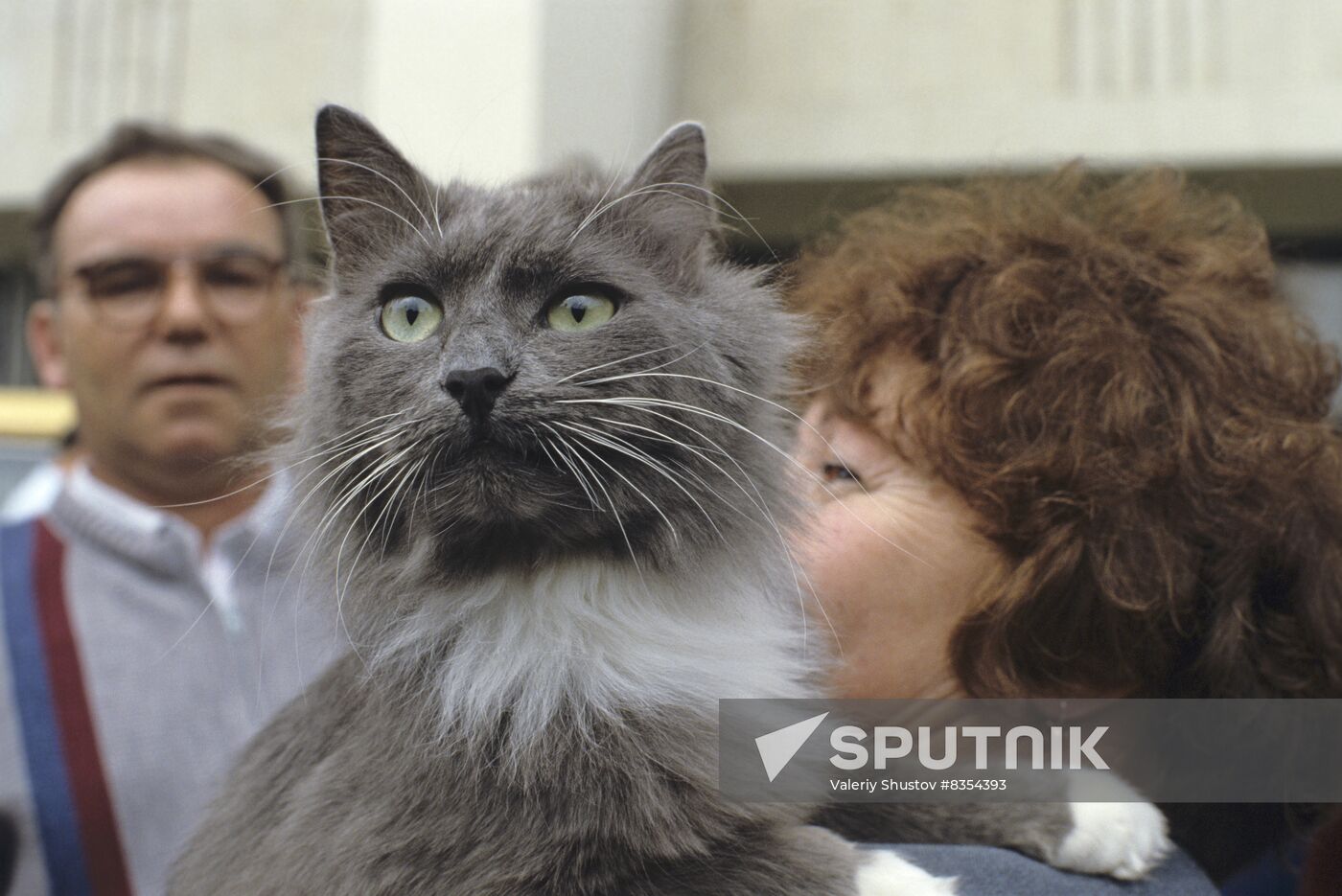 First exhibition and festival of FAUNA animal club