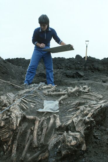 Caucasian archeologic expedition