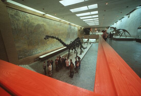 Orlov Paleontogy Museum