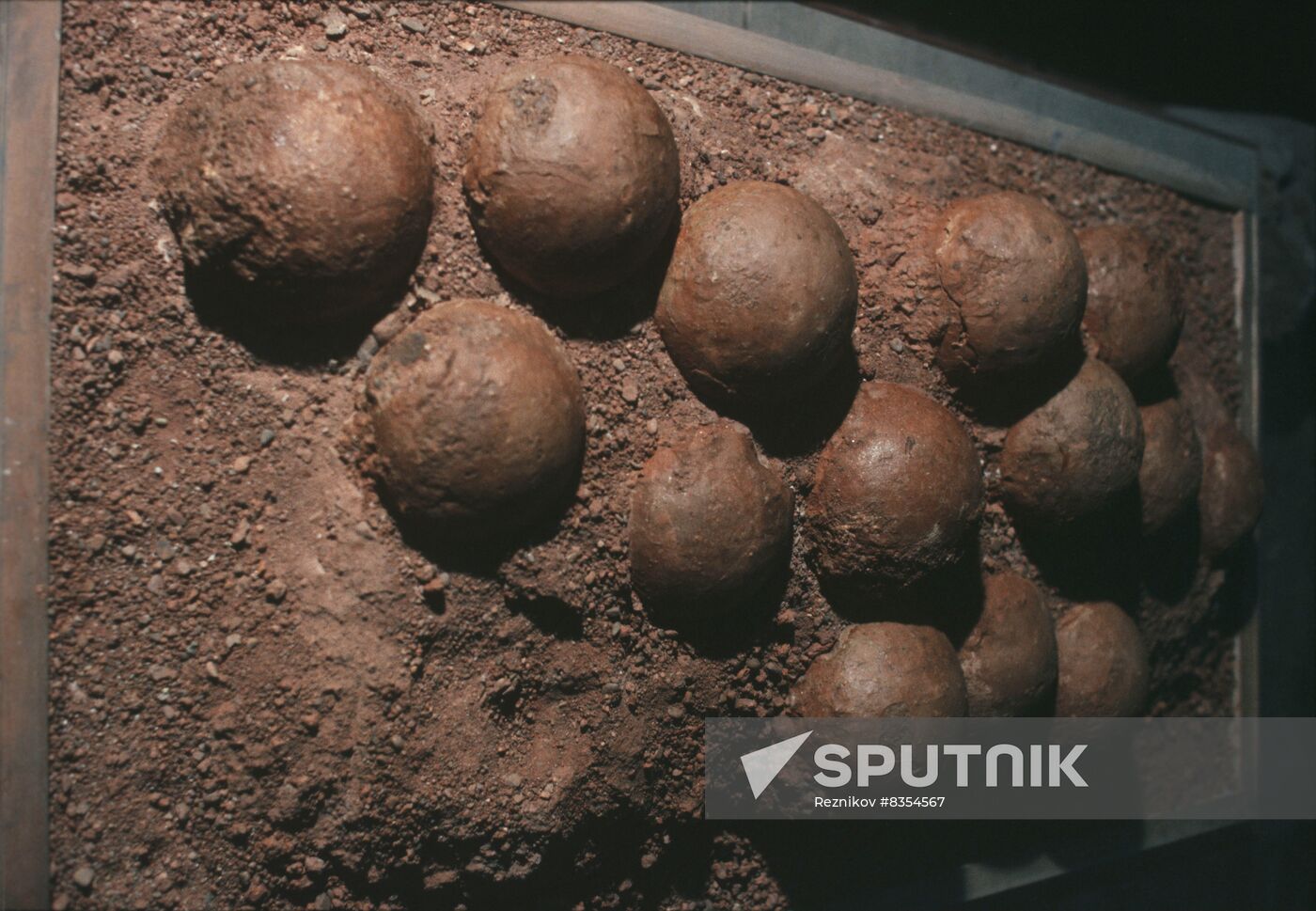 Orlov Paleontogy Museum