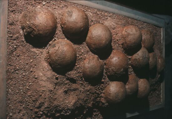 Orlov Paleontogy Museum