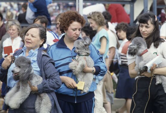 First exhibition and festival of FAUNA animal club