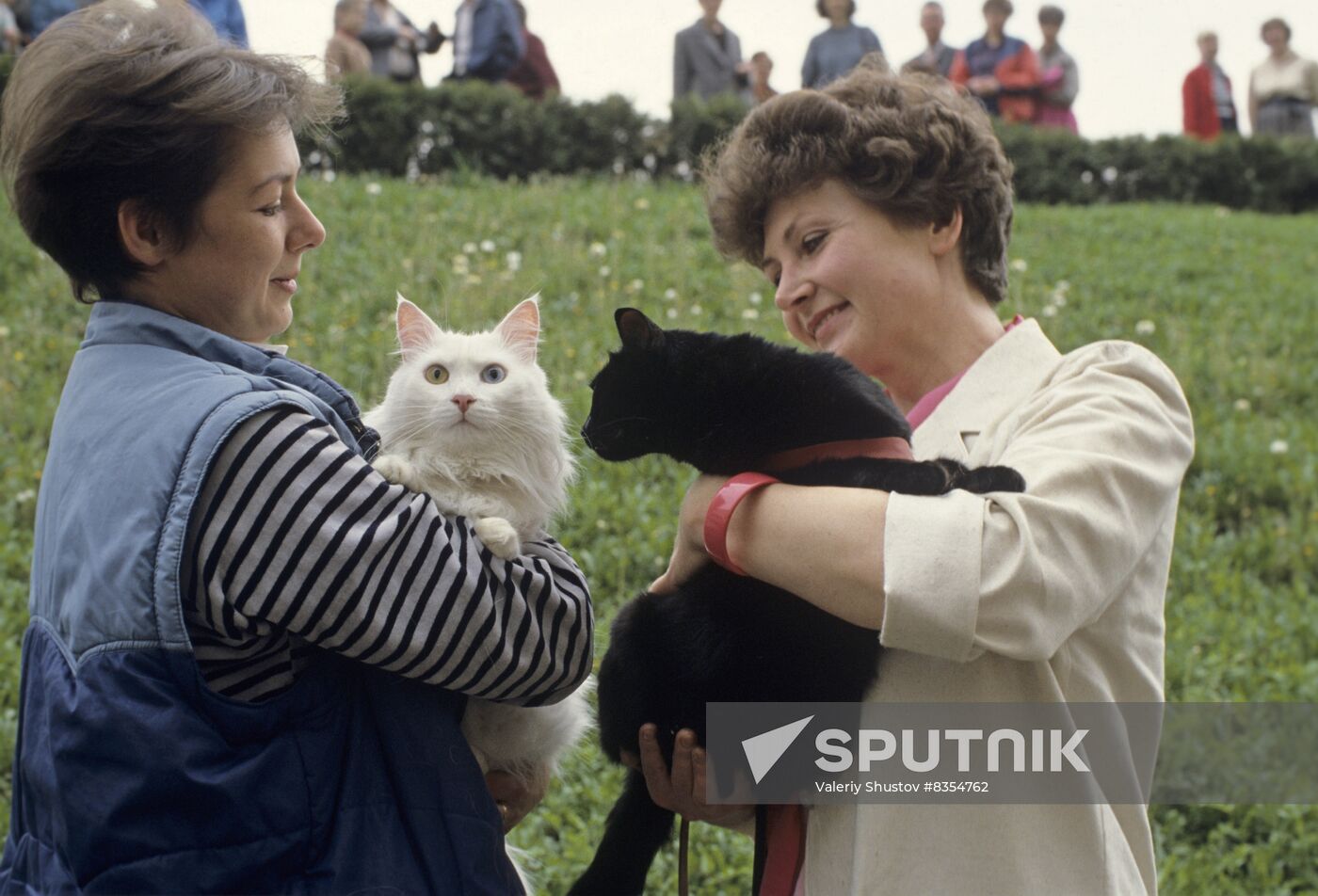 First exhibition and festival of FAUNA animal club