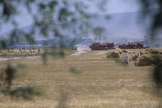 Vladimir Lenin Collective Farm, Leninabad Region