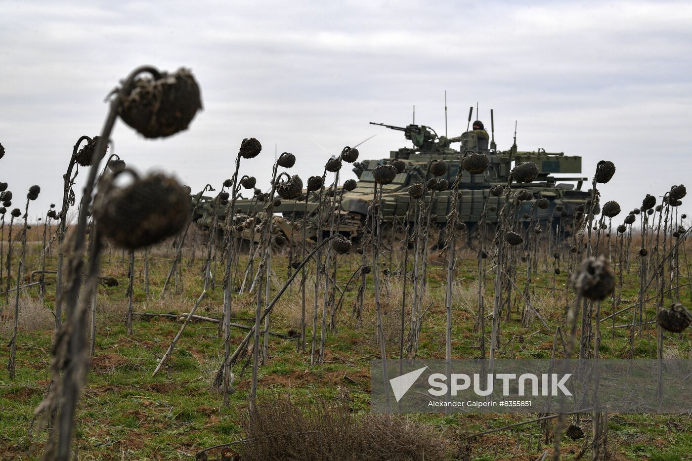 Russia Ukraine Military Operation Sappers