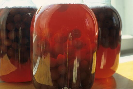 Urupsky District, Stavropol Territory