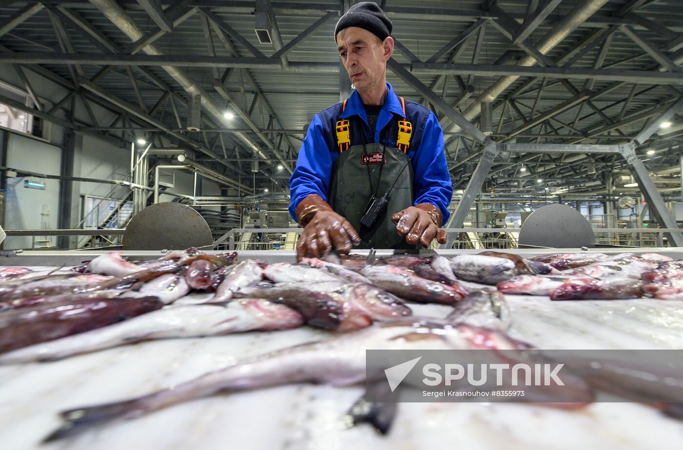 Russia Fishing Industry