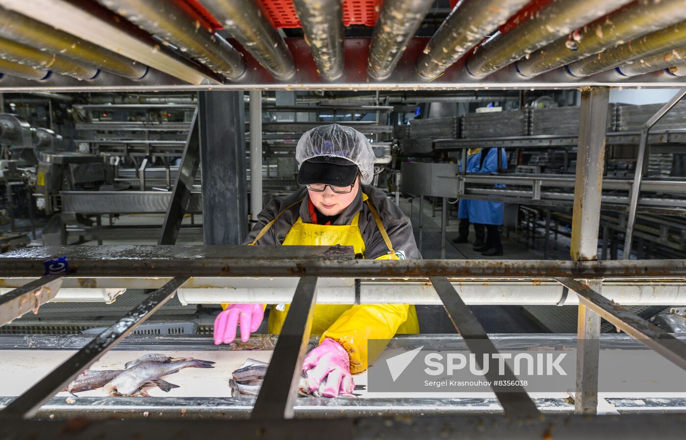 Russia Fishing Industry