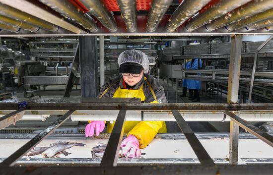 Russia Fishing Industry