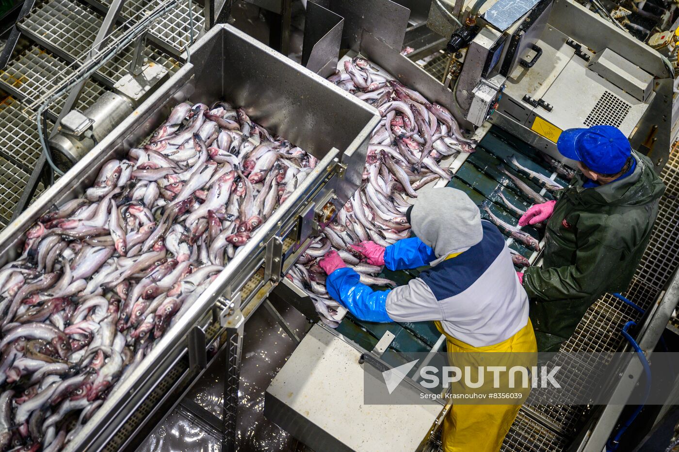 Russia Fishing Industry