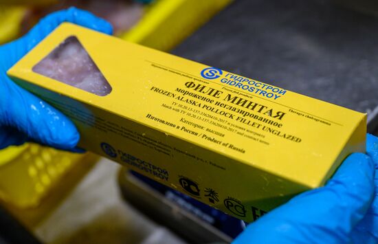 Russia Fishing Industry