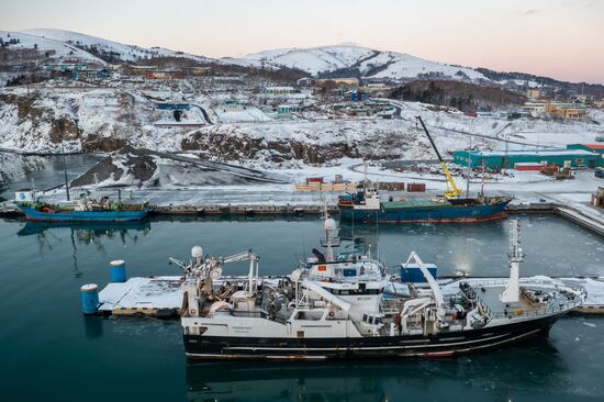 Russia Fishing Industry