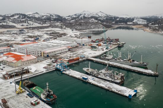 Russia Fishing Industry