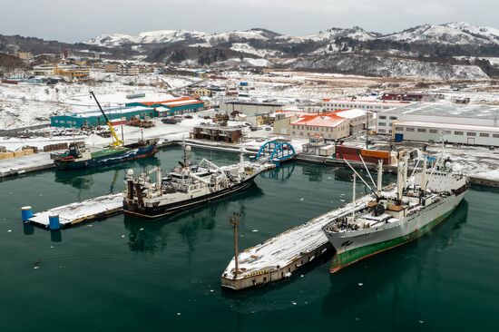 Russia Fishing Industry