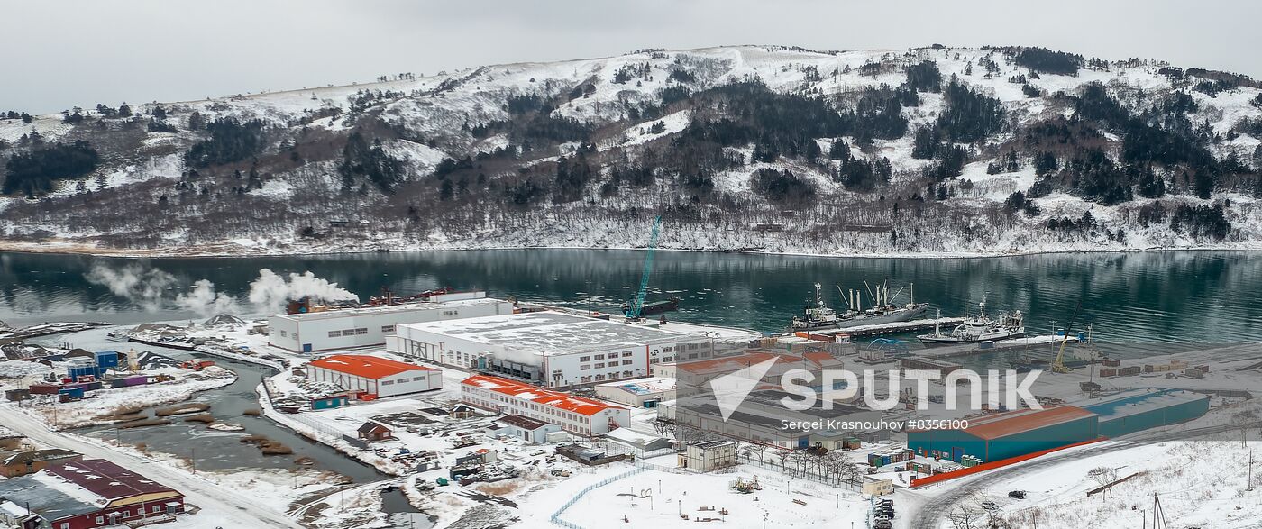 Russia Fishing Industry