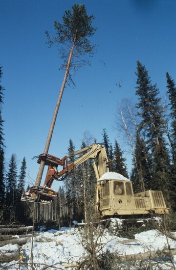Yasnogsky timber industry enterprise in Sykktyvkar District of Komi ASSR