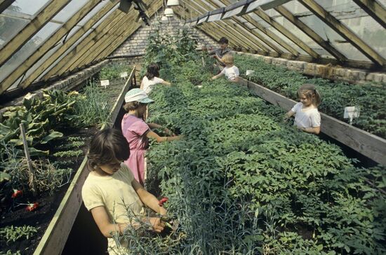 Novaya Zhizn Collective Farm