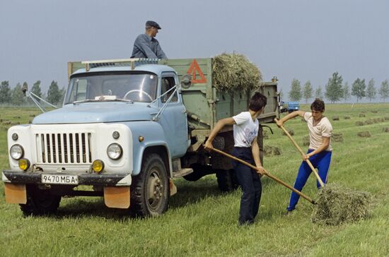 Novaya Zhizn Collective Farm